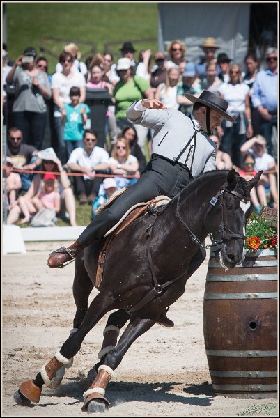 Pferd International 093